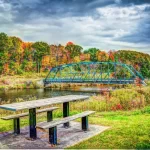 michellemaria_pitzel-foliage-548686_1920